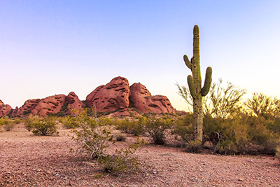 The Sonoran Desert view while on RV Adventures at Papago Park